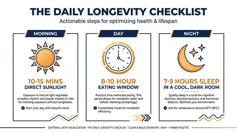 Daily habits centered around circadian rhythm and sleep form the foundation of longevity.