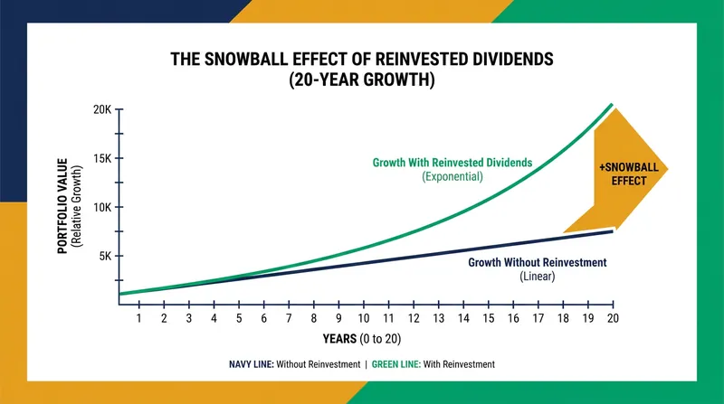 Reinvesting dividends during the accumulation phase creates an exponential compounding effect over time.