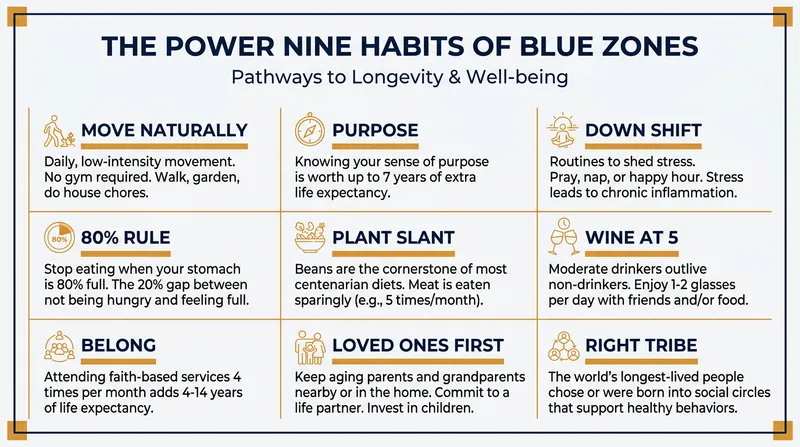 The 'Power Nine' habits represent the shared lifestyle traits found across all historically validated Blue Zones.