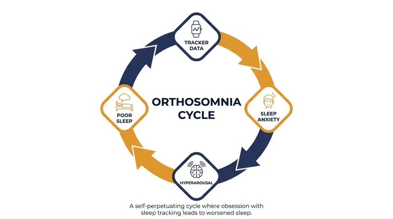 The cycle of orthosomnia occurs when an obsession with sleep metrics triggers anxiety that actively prevents restful sleep.