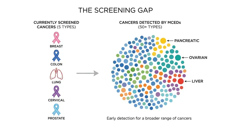 MCEDs aim to close the gap by screening for dozens of cancers that currently have no standard tests.