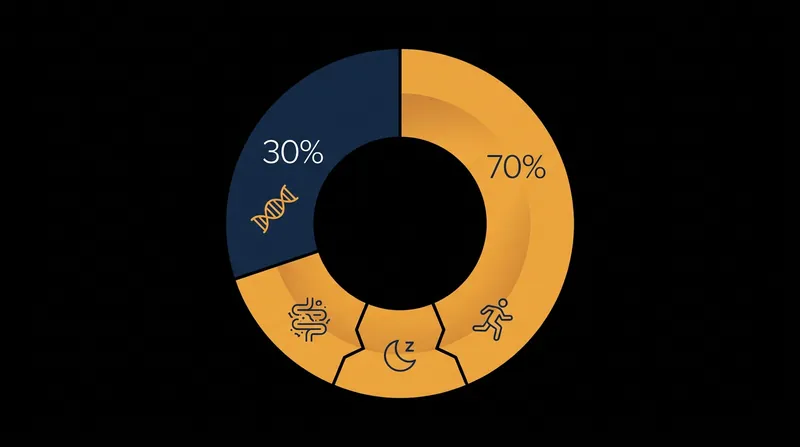 Genetics account for less than a third of our metabolic responses to food, leaving the majority to lifestyle and gut health.
