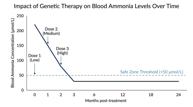 Following the base-editing infusions, the patient's toxic ammonia levels stabilized within a safe, manageable range.