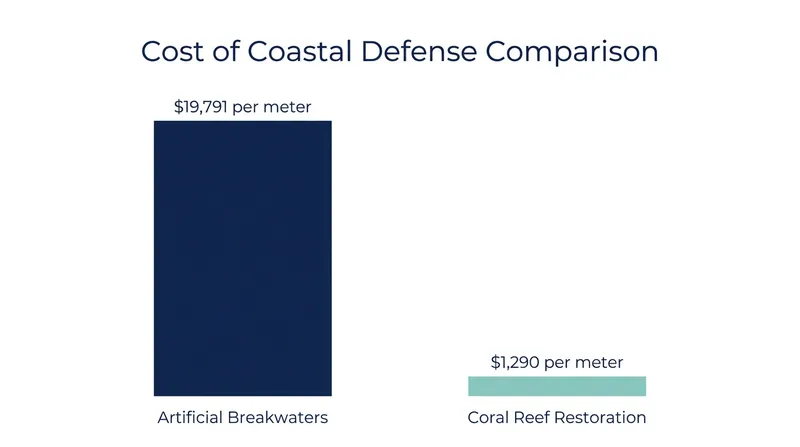 Restoring natural coral reefs is significantly more cost-effective than building artificial concrete breakwaters.