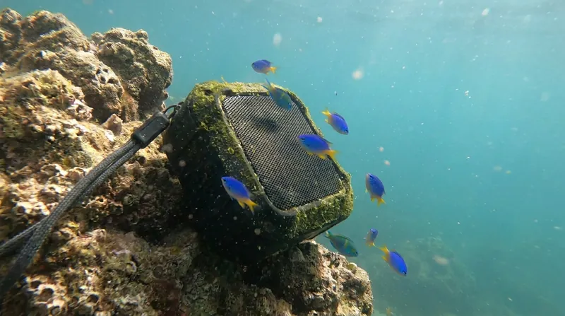 Acoustic enrichment uses underwater speakers to broadcast the sounds of a healthy reef, attracting marine life to degraded areas.