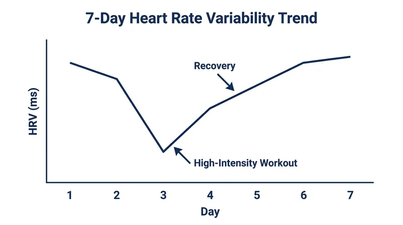 A typical HRV response to a heavy training load, showing a sharp dip followed by a gradual return to baseline during recovery.