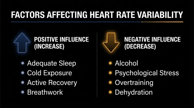 Physical exercise is only one piece of the puzzle; lifestyle and environmental factors heavily influence daily HRV.