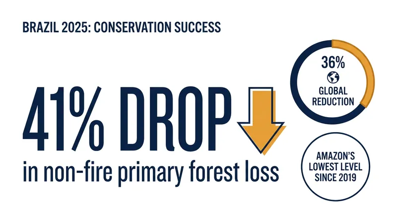 Macro-level reductions in primary forest loss driven by data-backed enforcement.