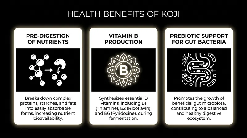 Beyond flavor, the enzymatic action of koji provides significant digestive and nutritional benefits.