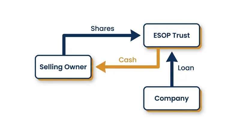 How a leveraged ESOP flips the traditional acquisition model.