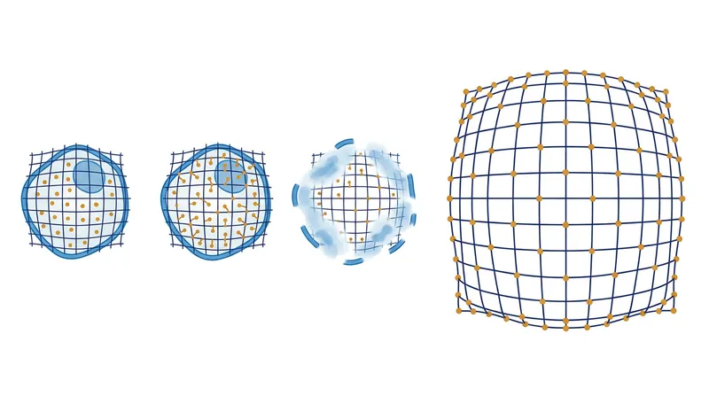 The expansion process relies on superabsorbent hydrogels to physically pull molecules apart while preserving their relative spatial arrangement.