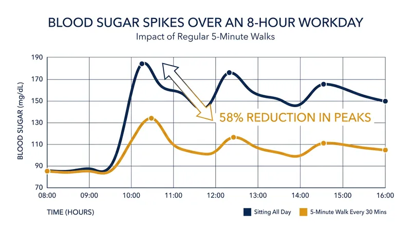 A five-minute walk every half hour reduces blood sugar spikes by 58%, preventing the physiological crashes that cause midday brain fog.