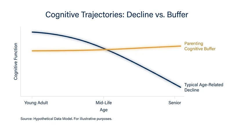 The enhanced connectivity observed in parents directly opposes the typical functional degradation associated with aging.