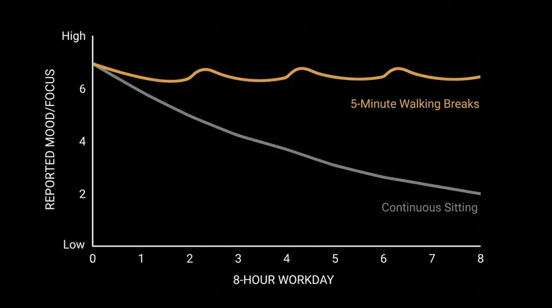 Participants who took brief walking breaks maintained higher baseline mood and focus throughout the afternoon.