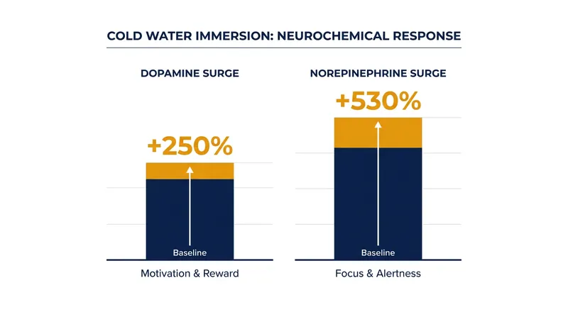 The acute hormonal response to 14°C water immersion.