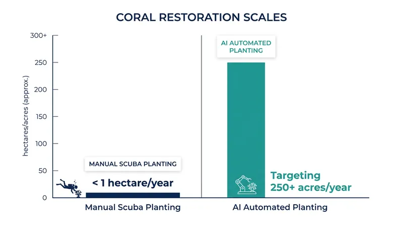 Automated manufacturing and deployment allow conservationists to scale restoration efforts exponentially.
