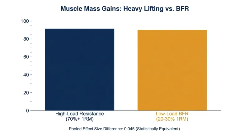 Meta-analyses confirm that low-load BFR produces statistically equivalent muscle hypertrophy to traditional heavy lifting.