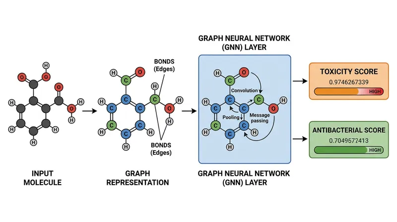 Graph Neural Networks 'read' molecules by analyzing the relationships between their atoms, predicting how they will interact with bacteria.