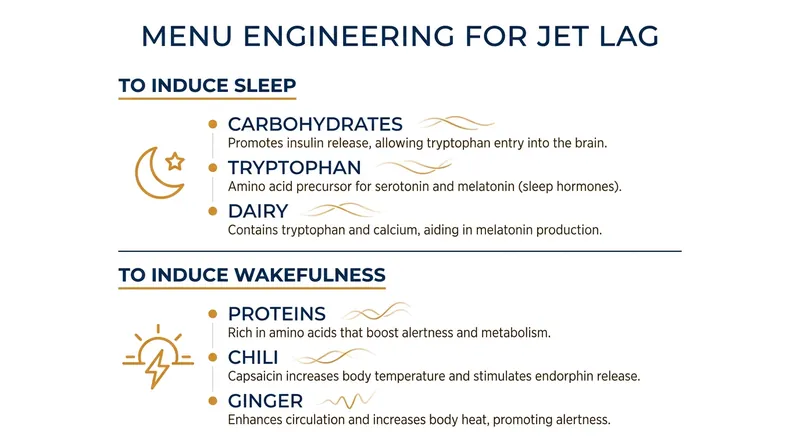 In-flight meals are scientifically timed and formulated to manipulate core body temperature and melatonin production.