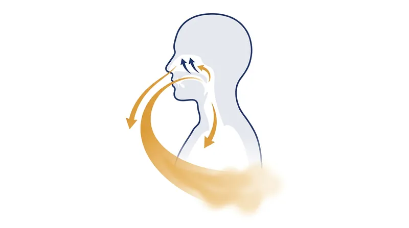 The cyclic sighing protocol: a double inhalation through the nose followed by an extended exhalation through the mouth.