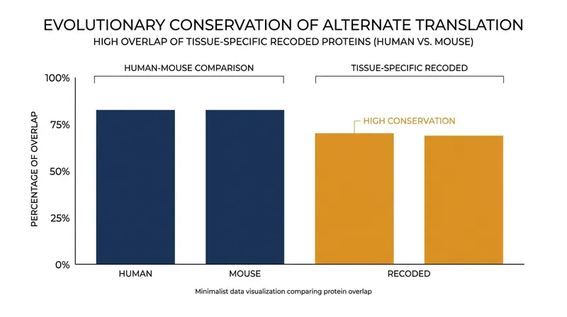 Alternate translation patterns are highly conserved between humans and mice, indicating an evolutionary advantage.