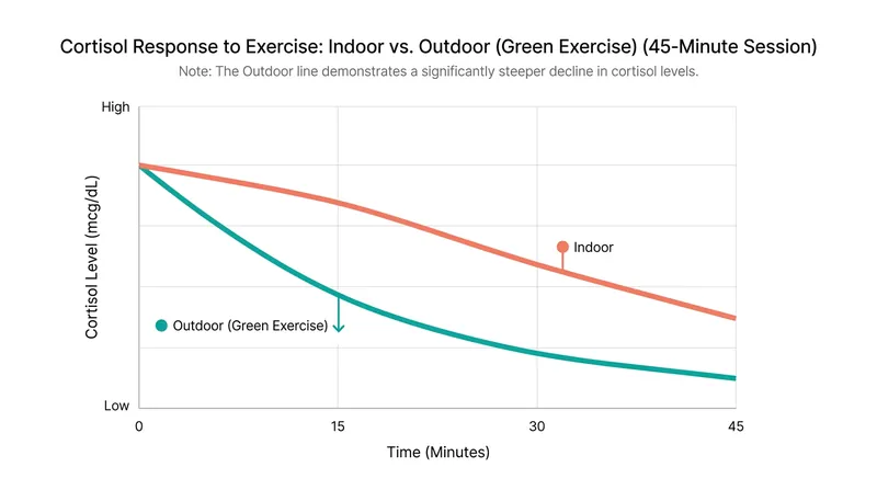 Clinical trials show that 'green exercise' results in a much steeper reduction in the stress hormone cortisol.