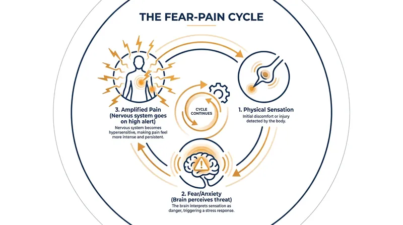 The fear-pain cycle keeps the nervous system sensitized, amplifying physical symptoms.