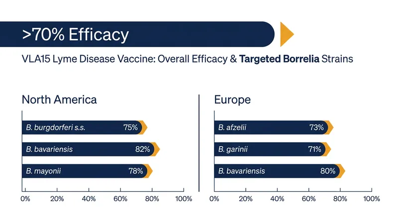 Pfizer and Valneva's hexavalent vaccine demonstrated over 70% efficacy in Phase 3 trials.