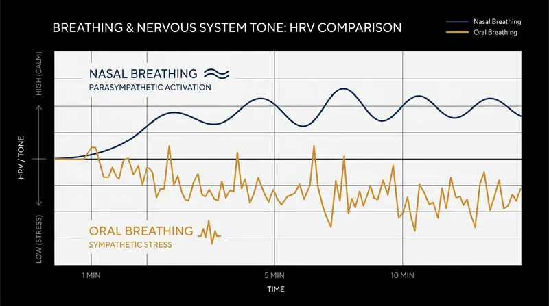 Nasal breathing engages the diaphragm and stimulates the vagus nerve, shifting the body into a parasympathetic 'rest and digest' state.