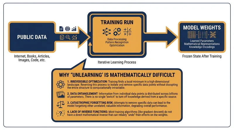Because data becomes mathematically embedded into an AI model's weights, proactive opt-outs are the only reliable defense.
