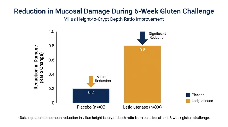 Phase 2 trial data demonstrated that latiglutenase significantly reduced intestinal damage during a controlled gluten challenge.