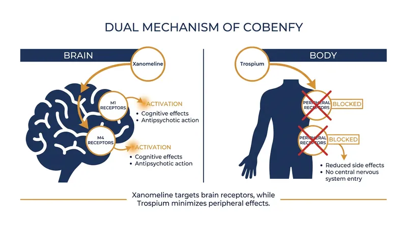 The dual-drug design allows xanomeline to treat psychiatric symptoms in the brain while trospium blocks physical side effects in the body.