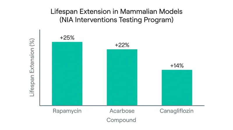 Lifespan extension results from the NIA's Interventions Testing Program in mice.