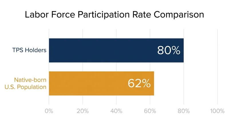 TPS holders participate in the labor force at a significantly higher rate than the native-born population.
