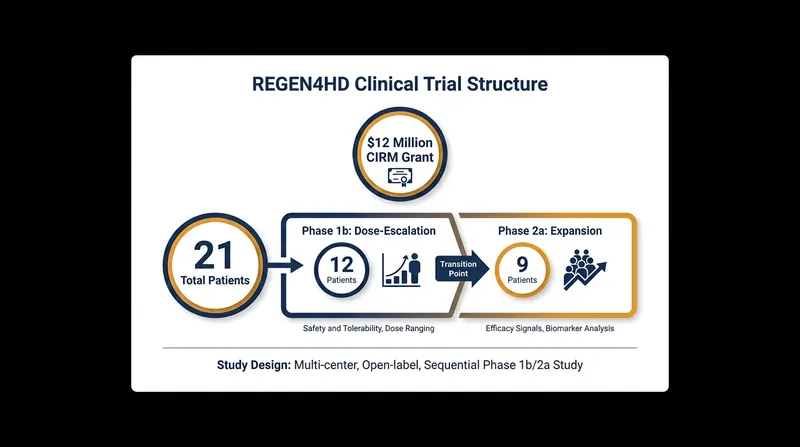 The Phase 1b/2a trial will establish the safety and optimal dosing of the embryonic stem cell therapy.