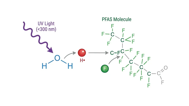 The mechanism: UV light below 300 nanometers generates hydrogen radicals from water, which act as molecular wrecking balls against PFAS.