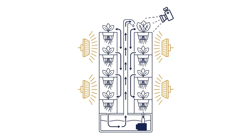 Smart hydroponics use a closed-loop water cycle and vision-based AI to automate nutrient delivery and lighting.