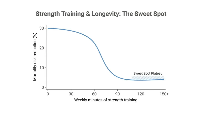 Researchers found no additional mortality benefits for strength training beyond 120 minutes per week.