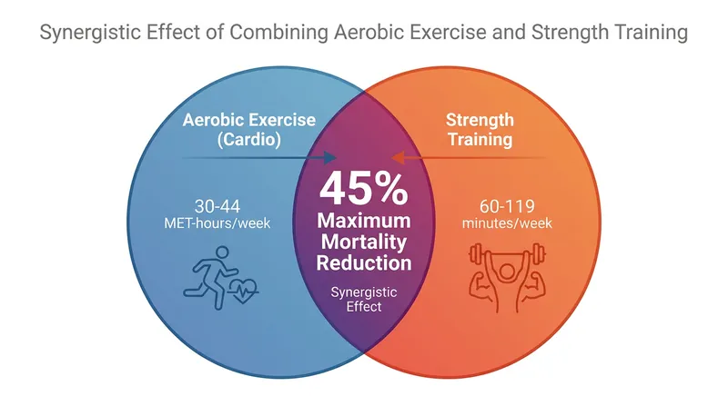 The lowest mortality risk was observed in participants who combined high aerobic activity with moderate strength training.