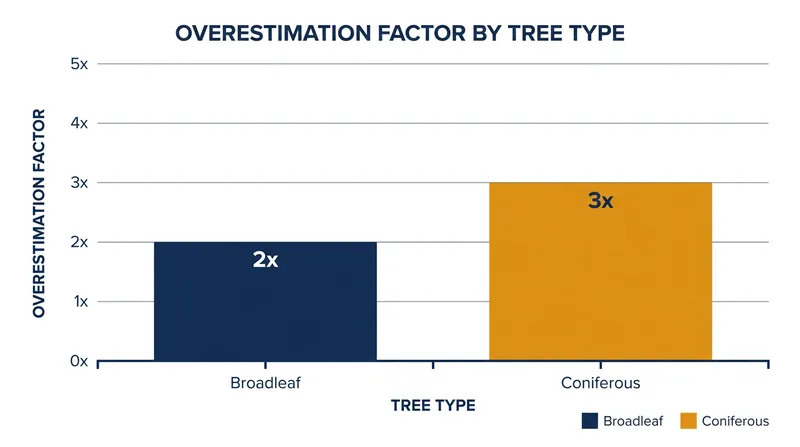 Standard models overshot the actual physical growth of broadleaf trees by a factor of two, and coniferous trees by a factor of three.