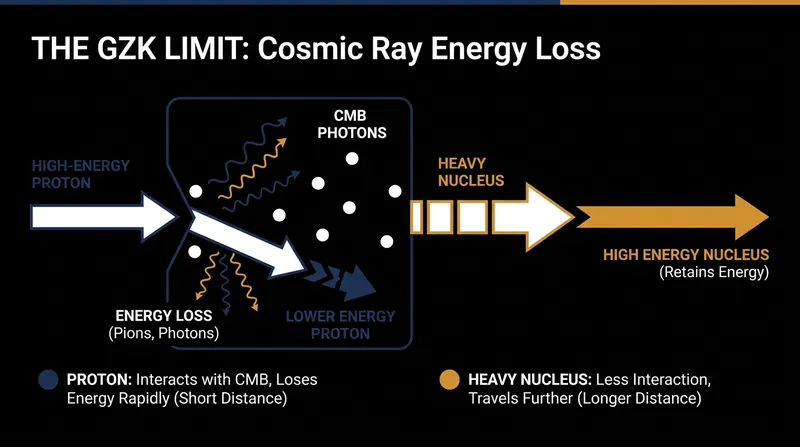 Heavy nuclei retain their kinetic energy better than protons when interacting with the cosmic microwave background.