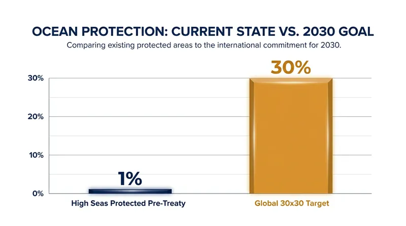 The treaty provides the legal tools necessary to jump from 1% protection to the global 30% target by 2030.