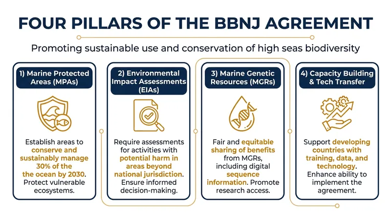 The four core mechanisms of the High Seas Treaty designed to govern international waters.