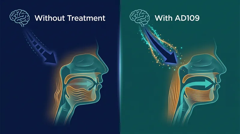 How AD109 works: The drug combination prevents the brain from over-relaxing the upper airway muscles during sleep.