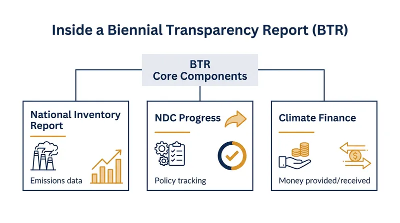 The core components required in the new 2024 reporting cycle.