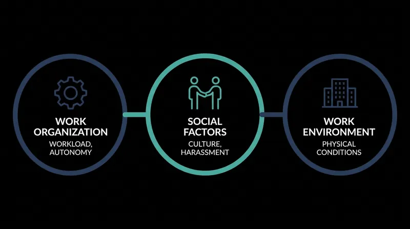 ISO 45003 provides a global framework for categorizing and auditing psychosocial risks.