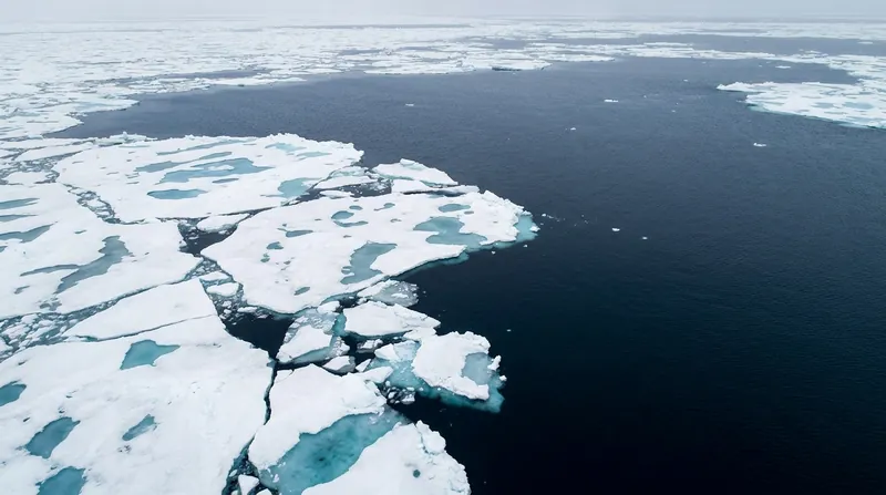 Arctic warming is predicted to outpace the global average by a factor of 3.5 over the next five winters.