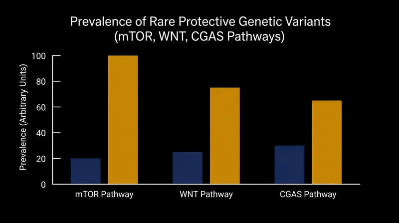 Centenarians exhibit a higher frequency of rare, protective genetic variants across multiple highly conserved biological pathways.