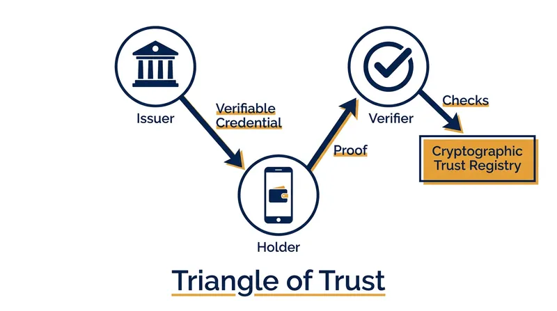 The Triangle of Trust severs the surveillance link between the issuer and the verifier.
