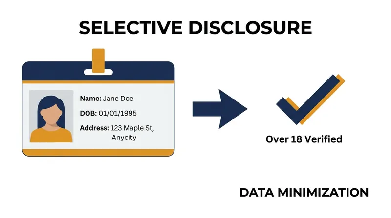 Selective disclosure allows users to prove specific facts (like age) without revealing underlying data.